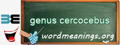 WordMeaning blackboard for genus cercocebus